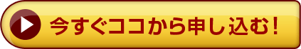 今すぐお試しする