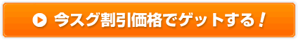 今すぐ割引価格でゲットする！